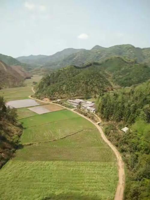 鹭阳的相册
