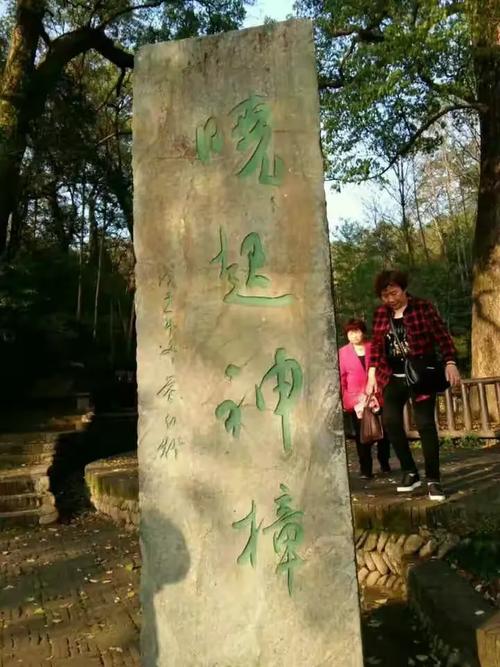 鹭阳的相册